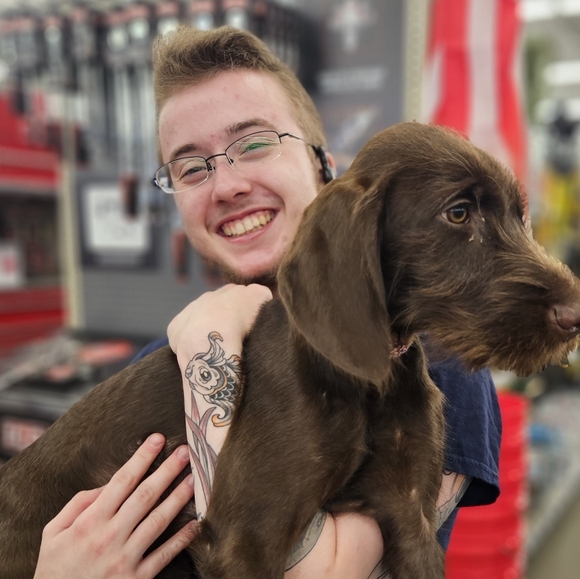 Meet your Posher, Henry - Picture 2 of 2